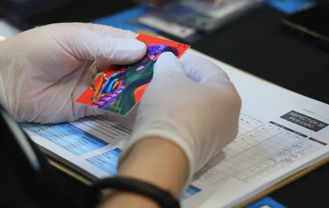 PSA Makes Major Grading Announcement Amid $1 Million Trading Card Theft — image from Heavy.com