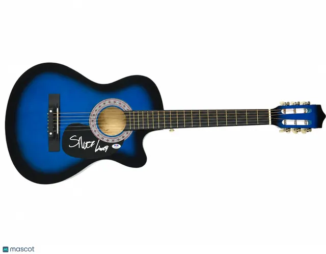 Dee Jay Silver Signed Guitar PSA Autographed — image from Fanatics Collect (ex-PWCC)