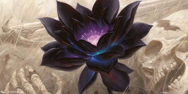 Magic: The Gathering – Arena Finally Adds Splinter Twin Combo — image from VICE
