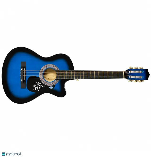Walker Hayes Signed Guitar PSA Autographed — image from Fanatics Collect (ex-PWCC)
